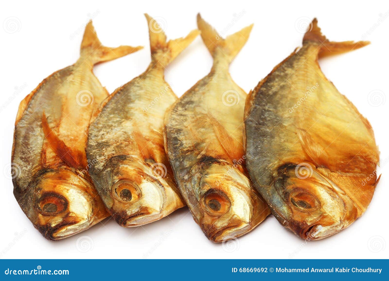 Dry scaled sardine fish stock photo. Image of edible 68669692