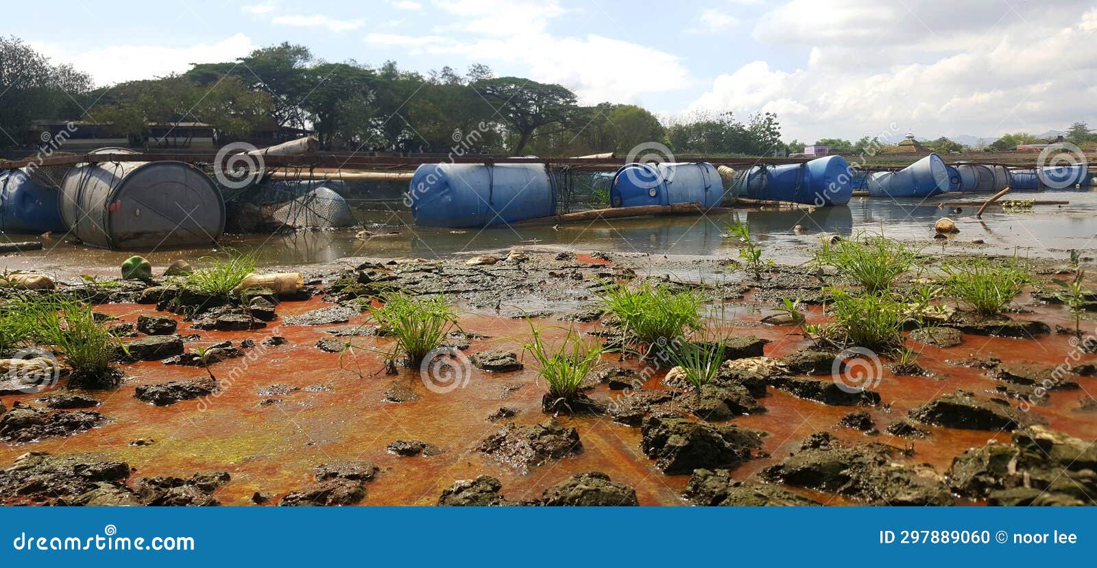 The Dry Season Causes Pond Water To Decrease Stock Photo Image of drought, environment 297889060