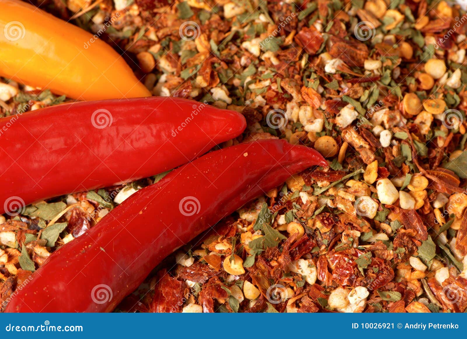 Dry Seasoning with Chillies Stock Image Image of ingredients