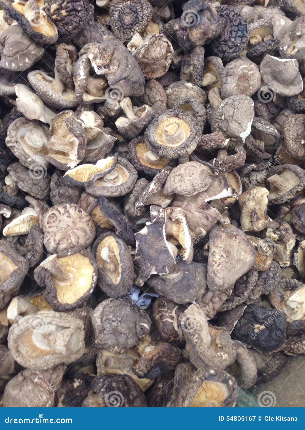 Dry shiitake stock image. Image of shiitake, market, local 54805167