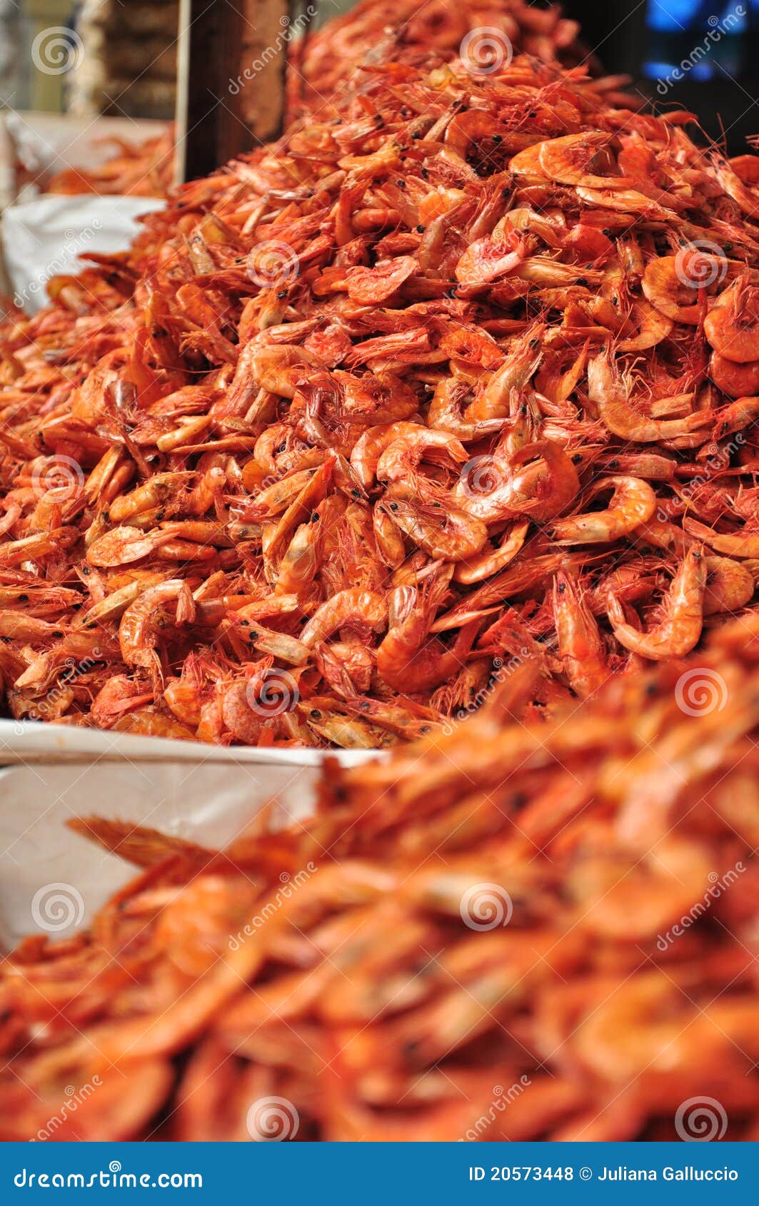 Dry shrimp for sale stock photo. Image of display, colored 20573448
