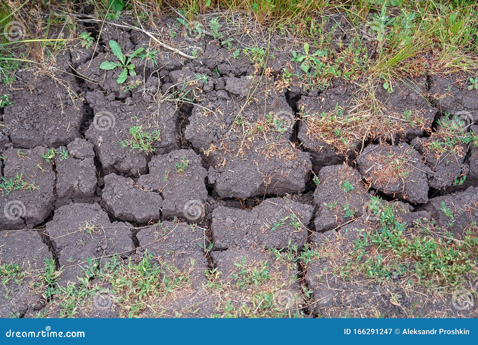 Dry Soil Cracked By Drought Stock Image Image of closeup, earth