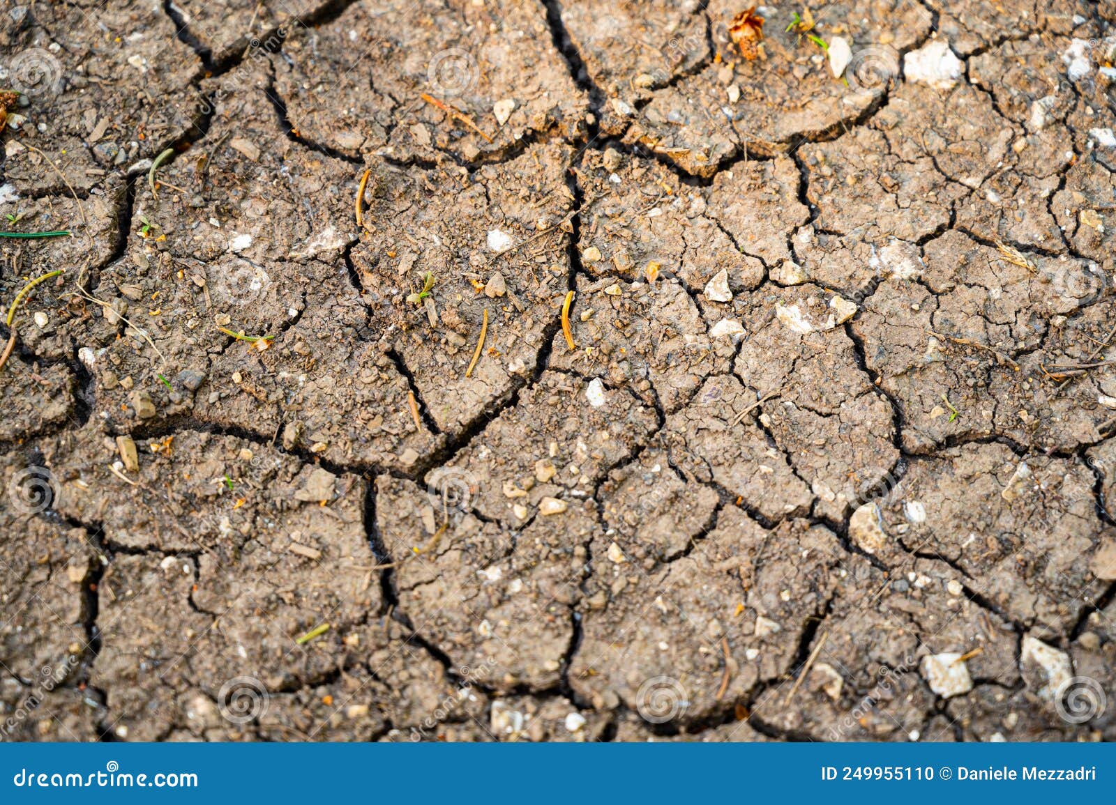 Dry soil and drought. stock photo. Image of drought 249955110