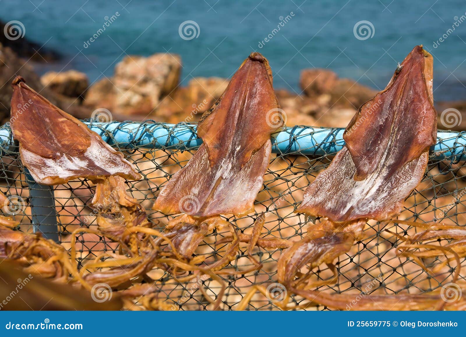 Dry squid stock image. Image of fishing, mollusk, fisherman 25659775