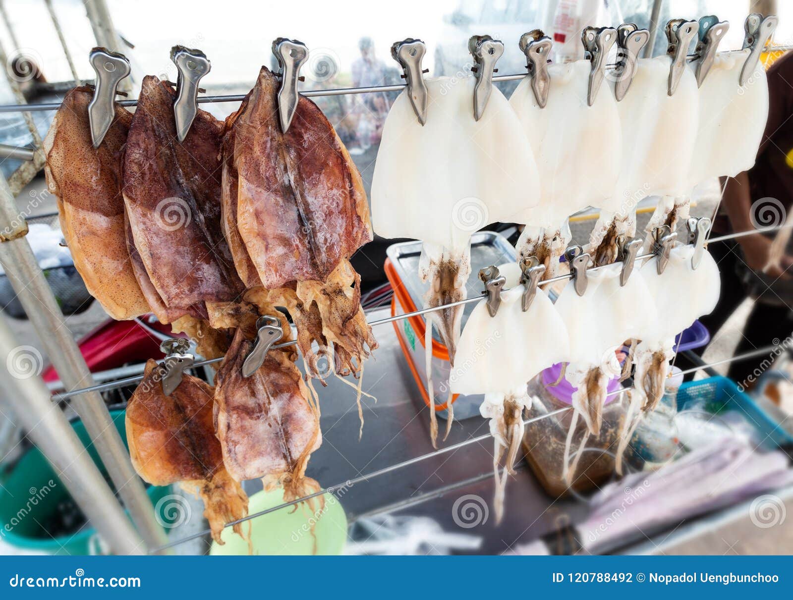 Dry Squid Hanging for Sale. Stock Photo Image of gourmet, cuisine