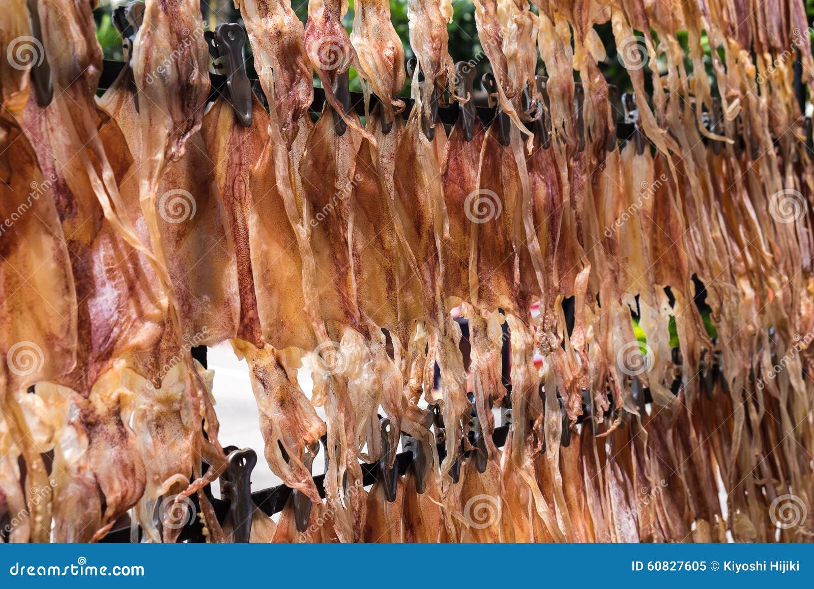 Dry squid in row stock image. Image of companion, eatable 60827605