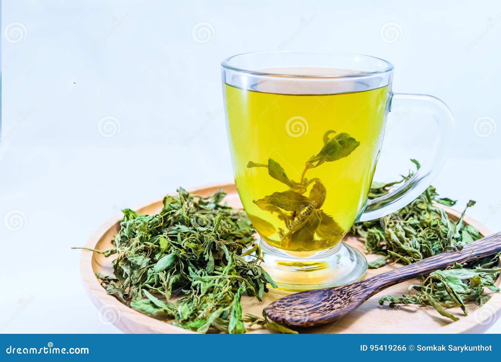 Dry stevia leaves stock photo. Image of dried, health 95419266