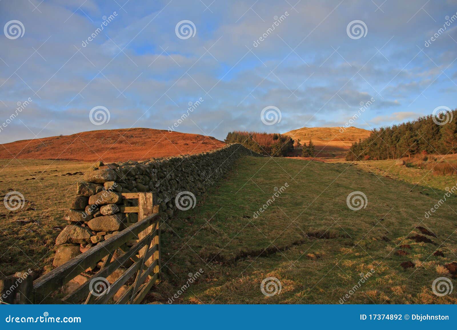 dry stone wall, northumberland, england