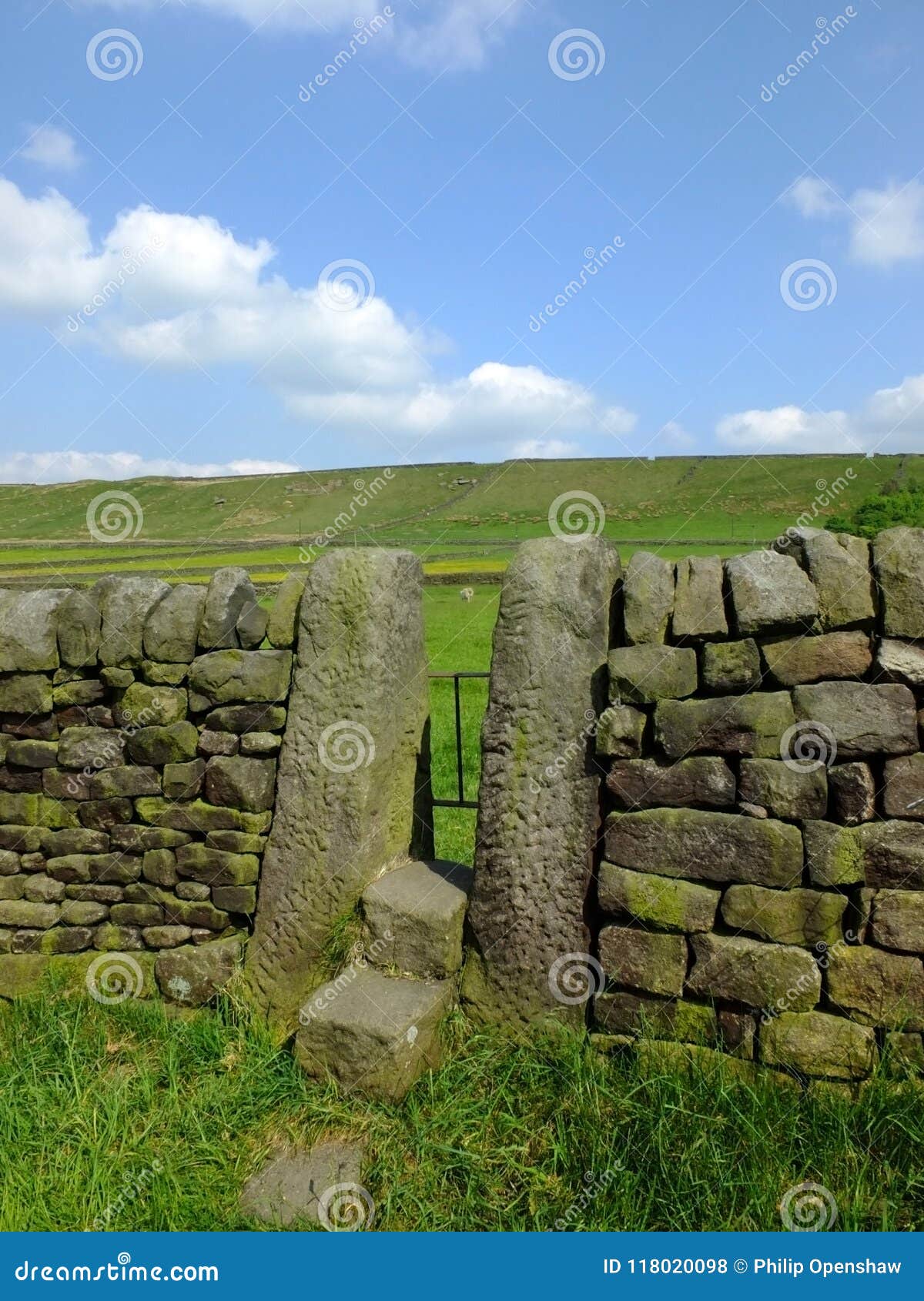a dry stone wall with stone stile or narrow gate with steps in a yorkshire dales hillside meadow with a bright blue summer sky