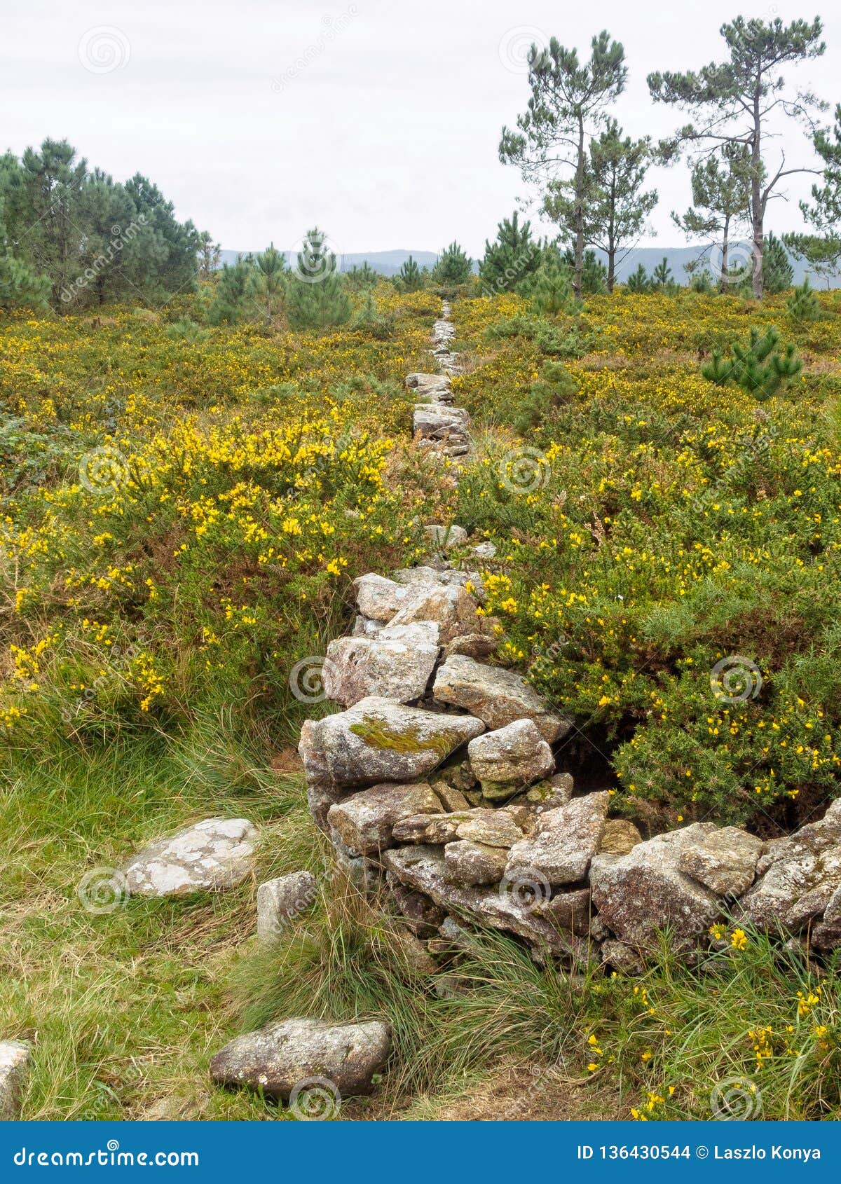 dry-stone wall - san pedro martir