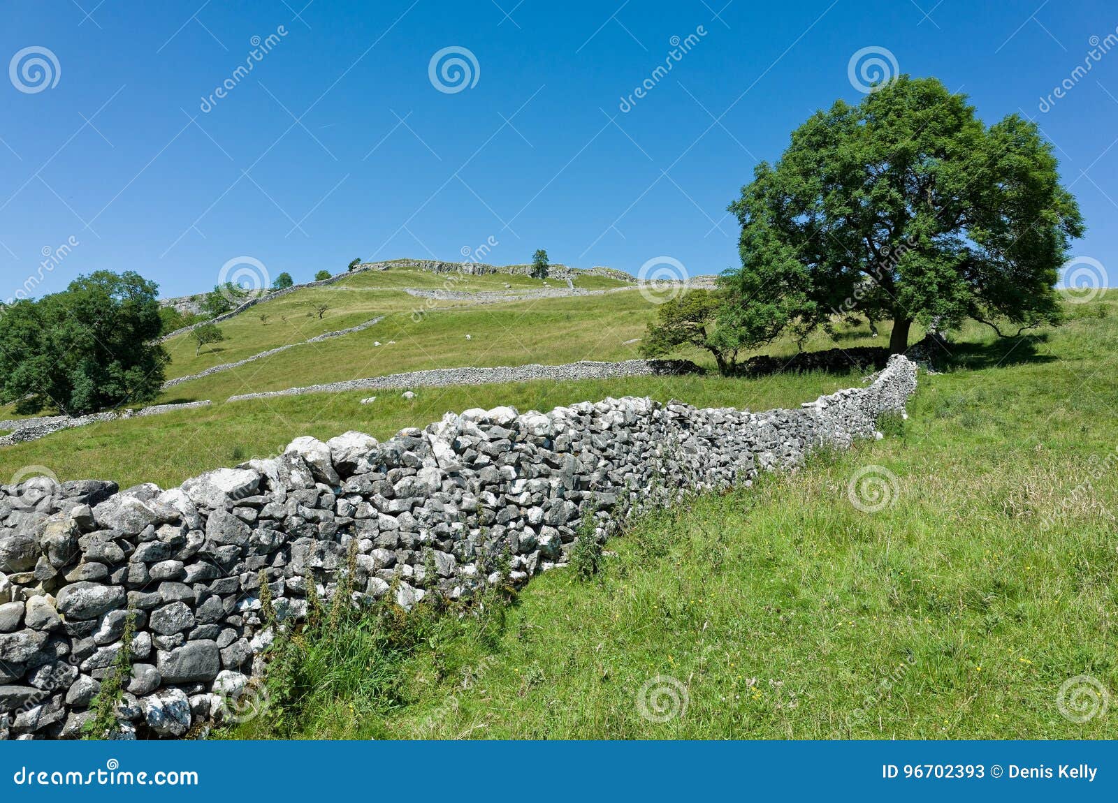 dry stone walls - yorkshire dales, england