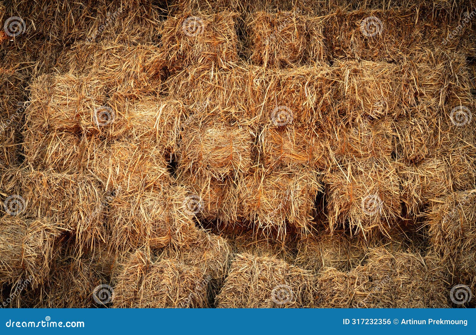 dry straw bale and agricultural byproducts. stacked yellow straw bales for animal fodder and livestock bedding. straw bales in