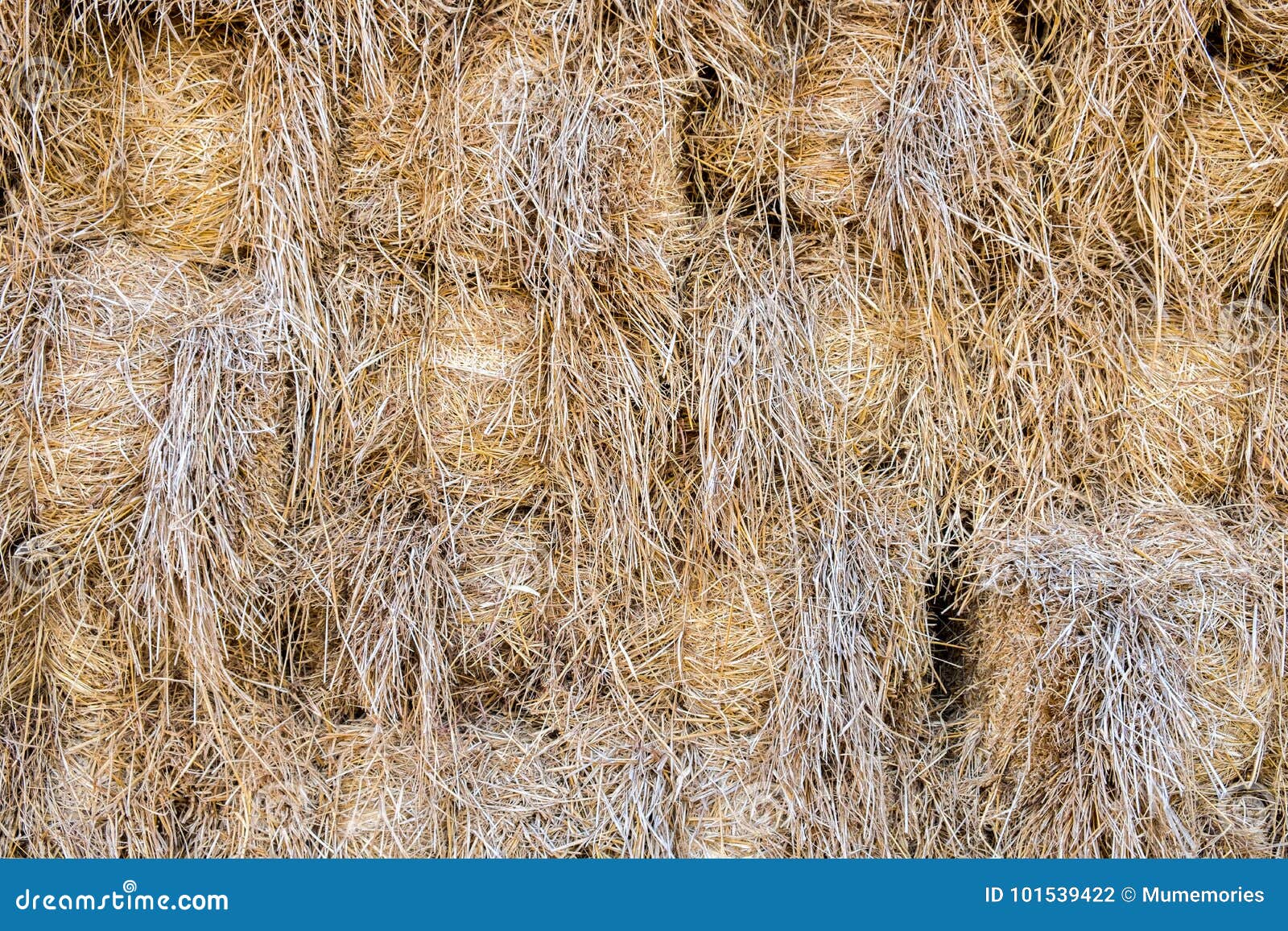 dry straw yellow stacked background