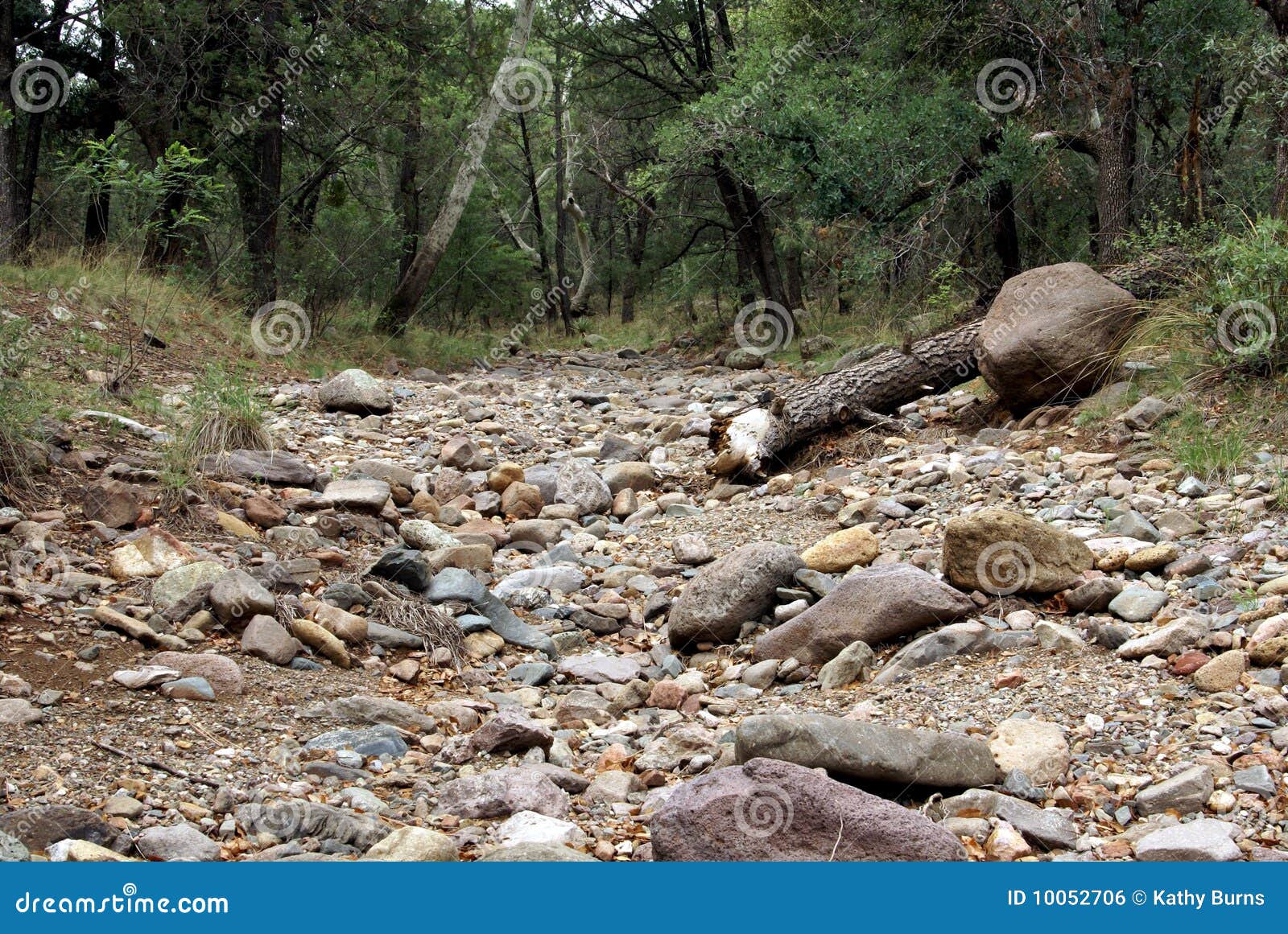 Dry Stream Bed Royalty Free Stock Image Image: 10052706 Dry Stream Bed Royalty Free Stock Image Image: 10052706