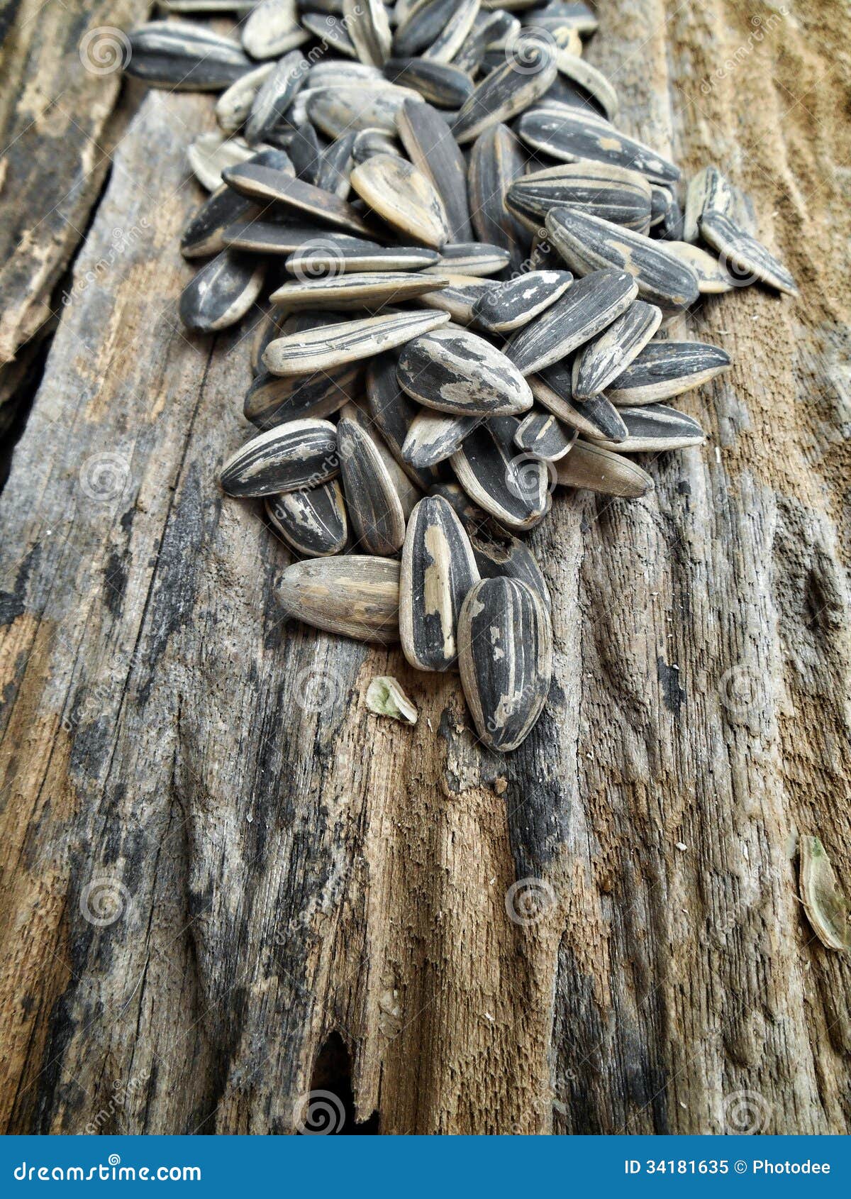 Dry sunflower seeds. stock image. Image of plant, black 34181635