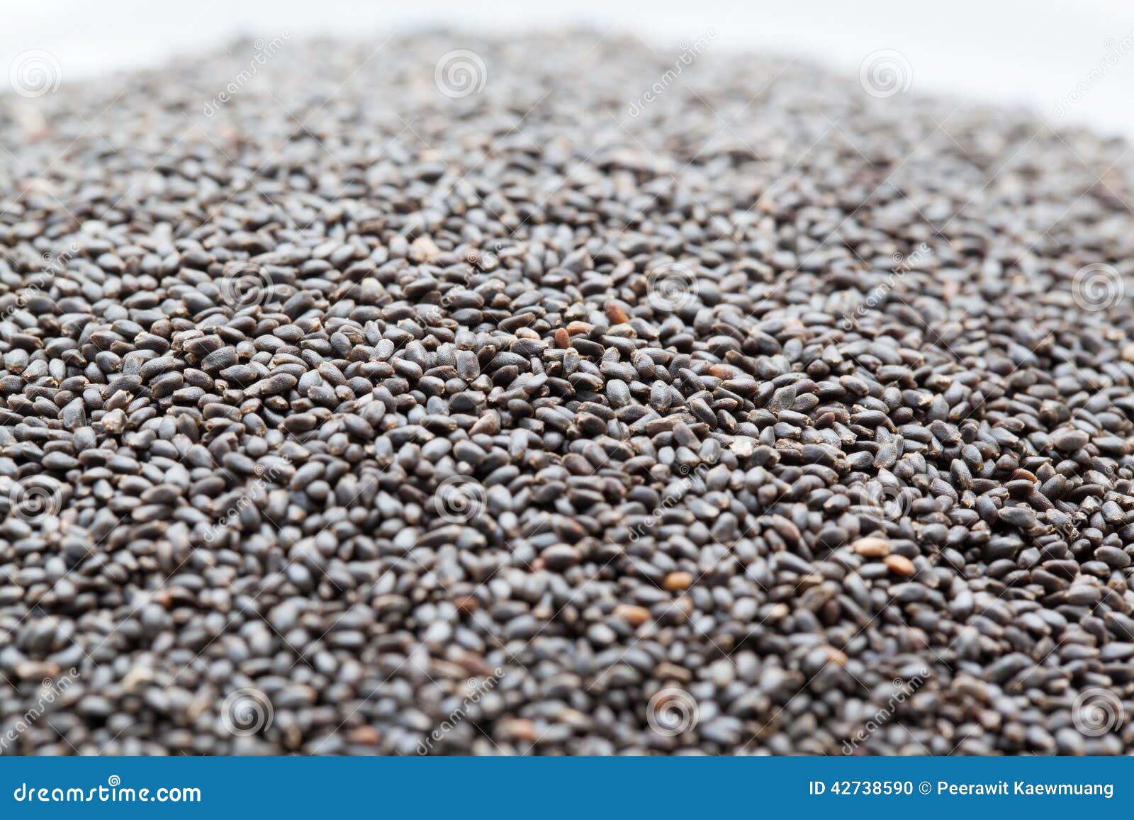 Dry sweet basil seed. stock photo. Image of nutrition 42738590