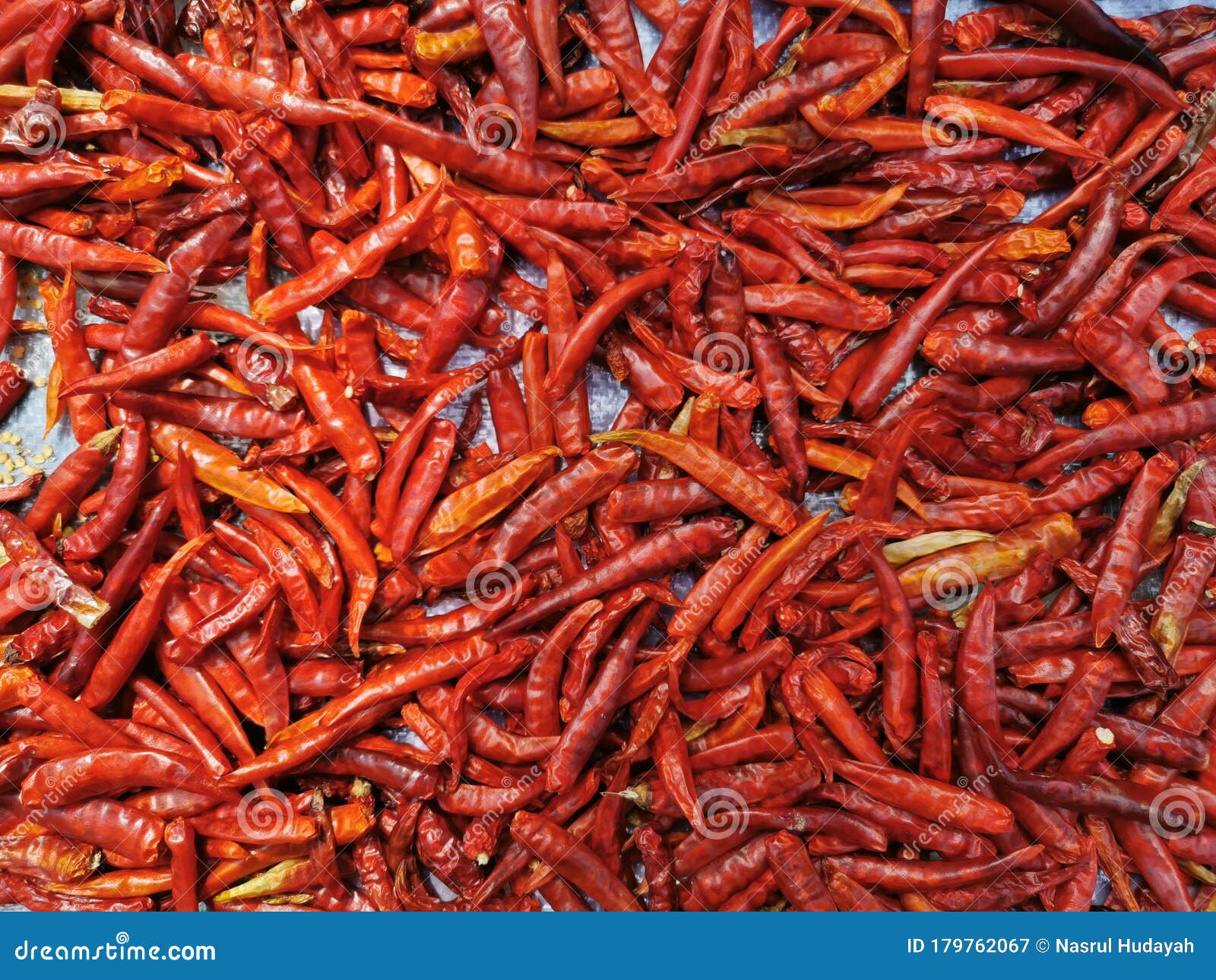 Dry Thai Chilli for Thai Food Stock Image Image of authentic, tomyam