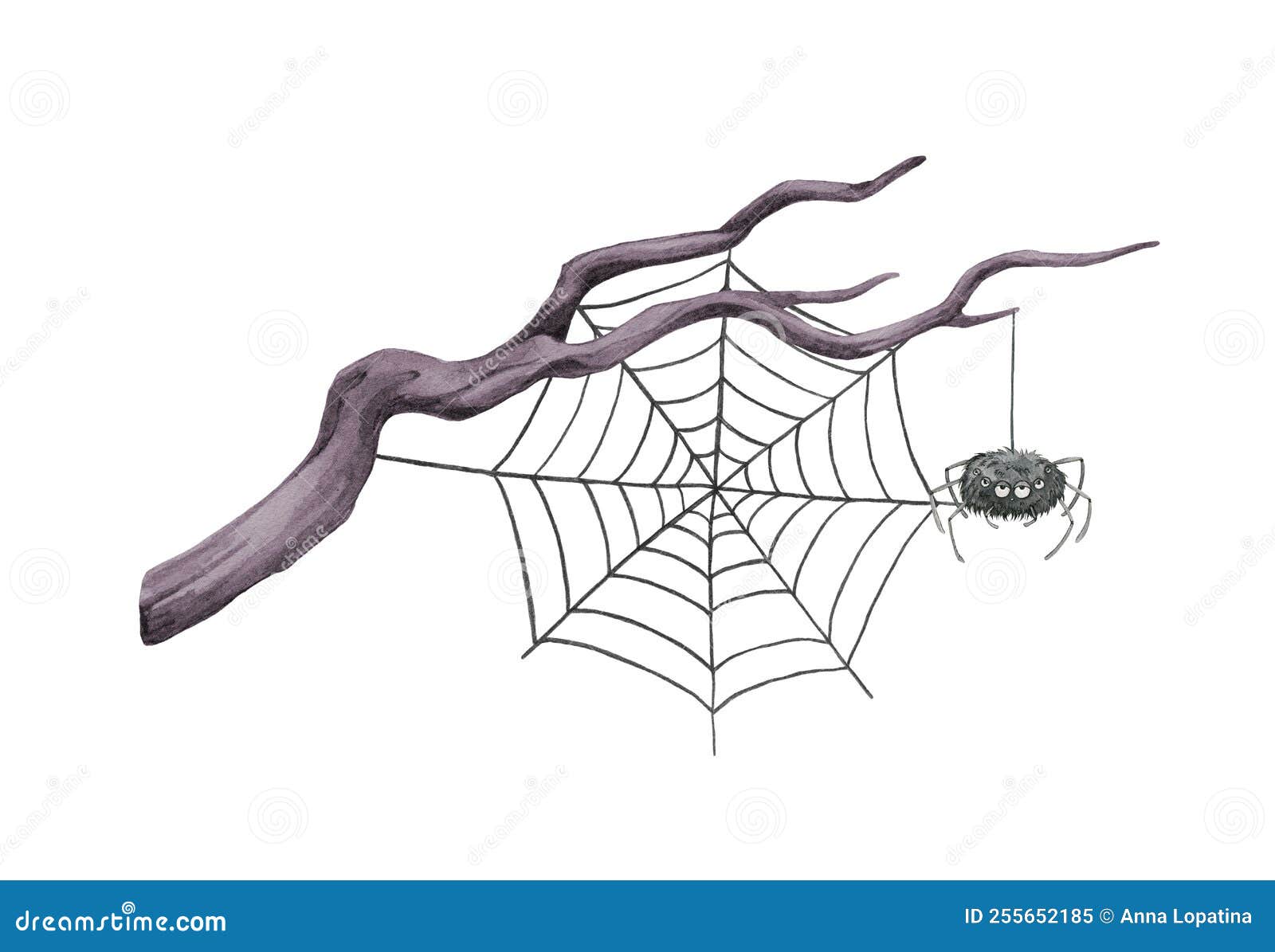 Dry Tree Branch with Spider Web. Watercolor Illustration Stock