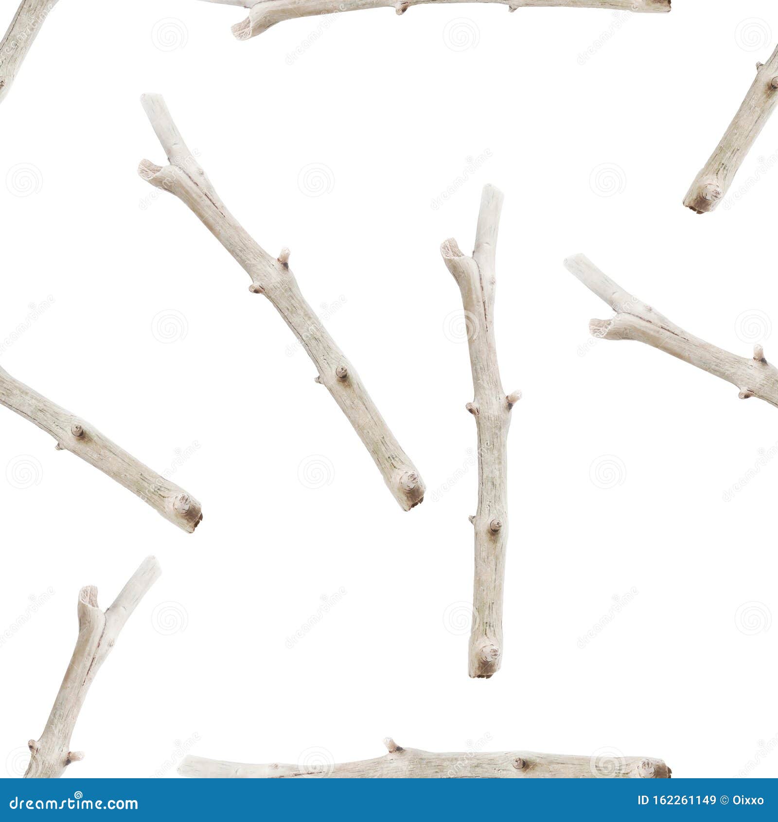 Tree Branches Seamless Pattern. Boho Image of Sticks on White