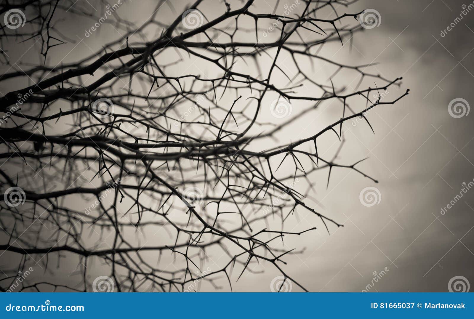 Download 93 Background Reference Art HD Terbaik