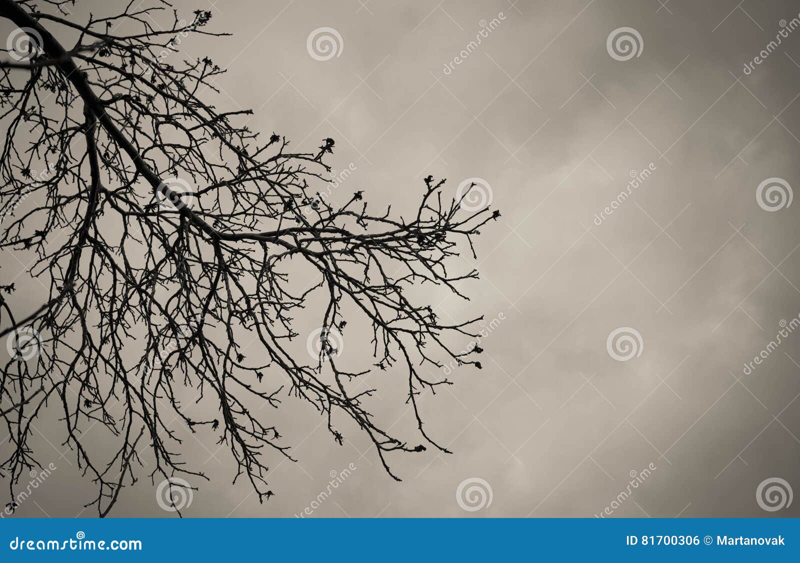 Download 93 Background Reference Art HD Terbaik