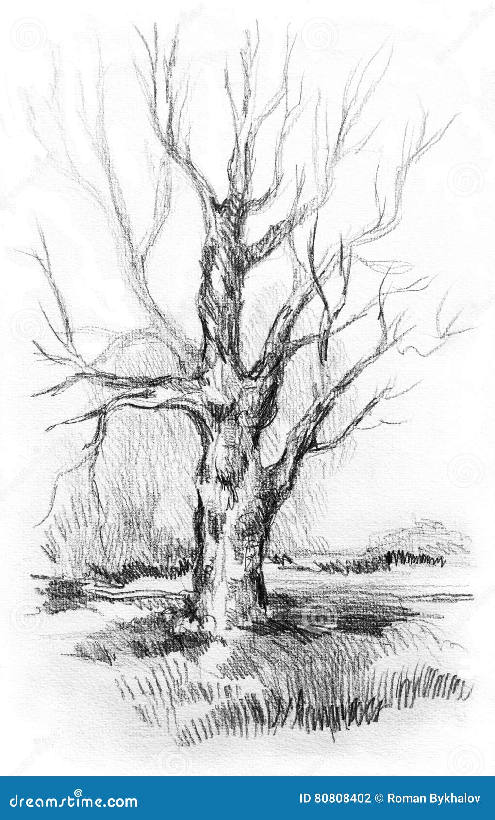 Dry Tree without Leaves with Sketch Grass Stock Illustration ...