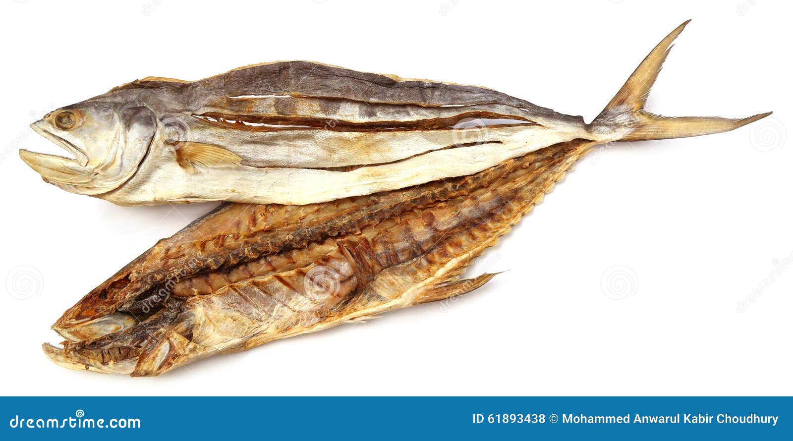 Dry tuna fish stock photo. Image of cuisine, seafood 61893438