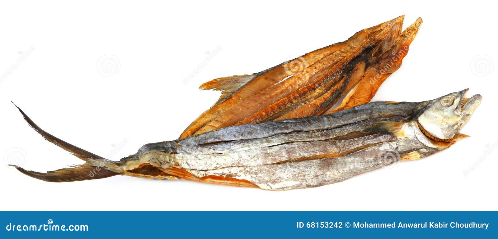 Dry tuna fish stock photo. Image of food, fish, edible 68153242