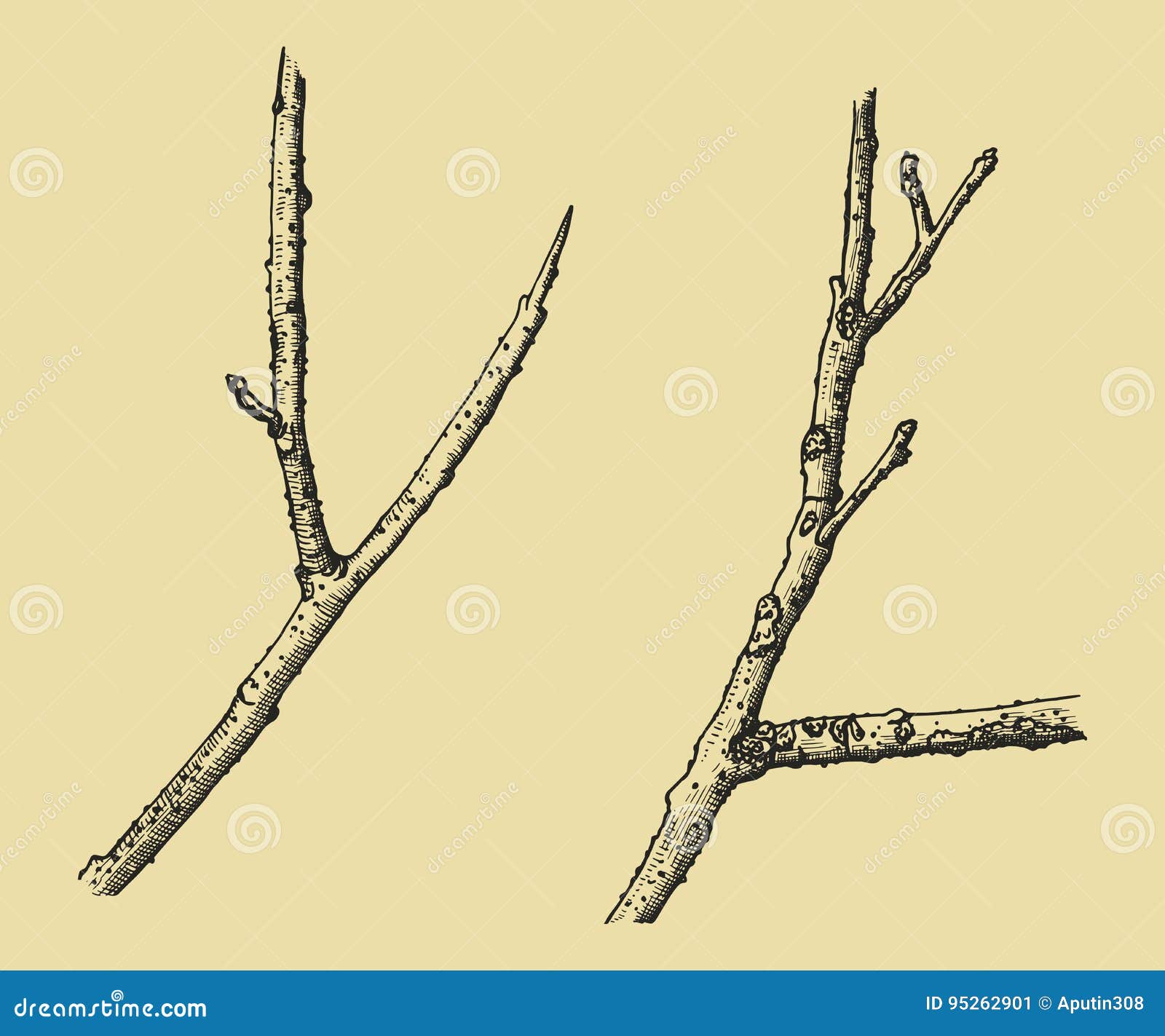Simple doodle sketch floral twig with leaves Vector Image