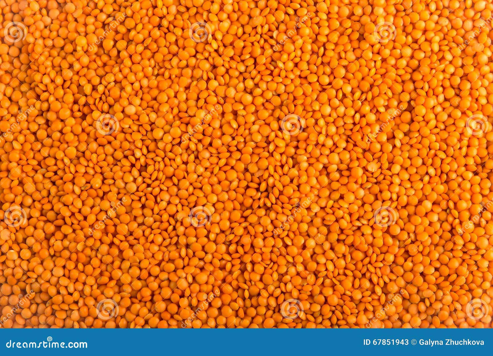 dry unbroken orange lentils texture