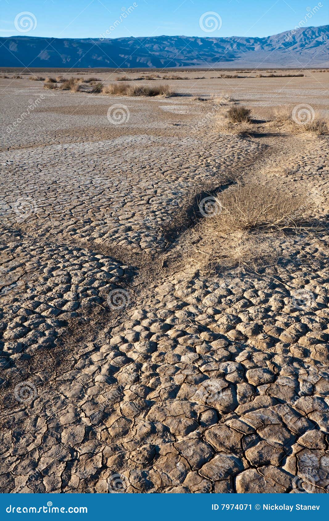 Dry Water Bed in Death Valley Stock Image Image of vegetation, plain
