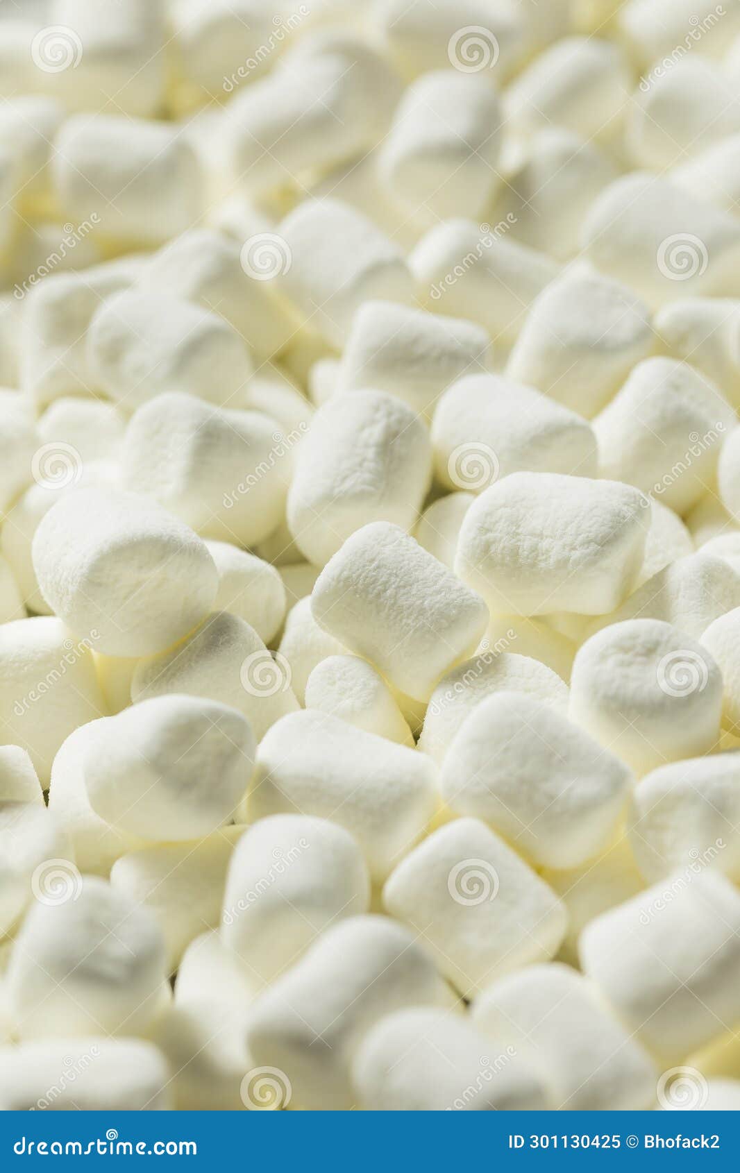Dry White Organic Mini Marshmallows Stock Image Image of candy