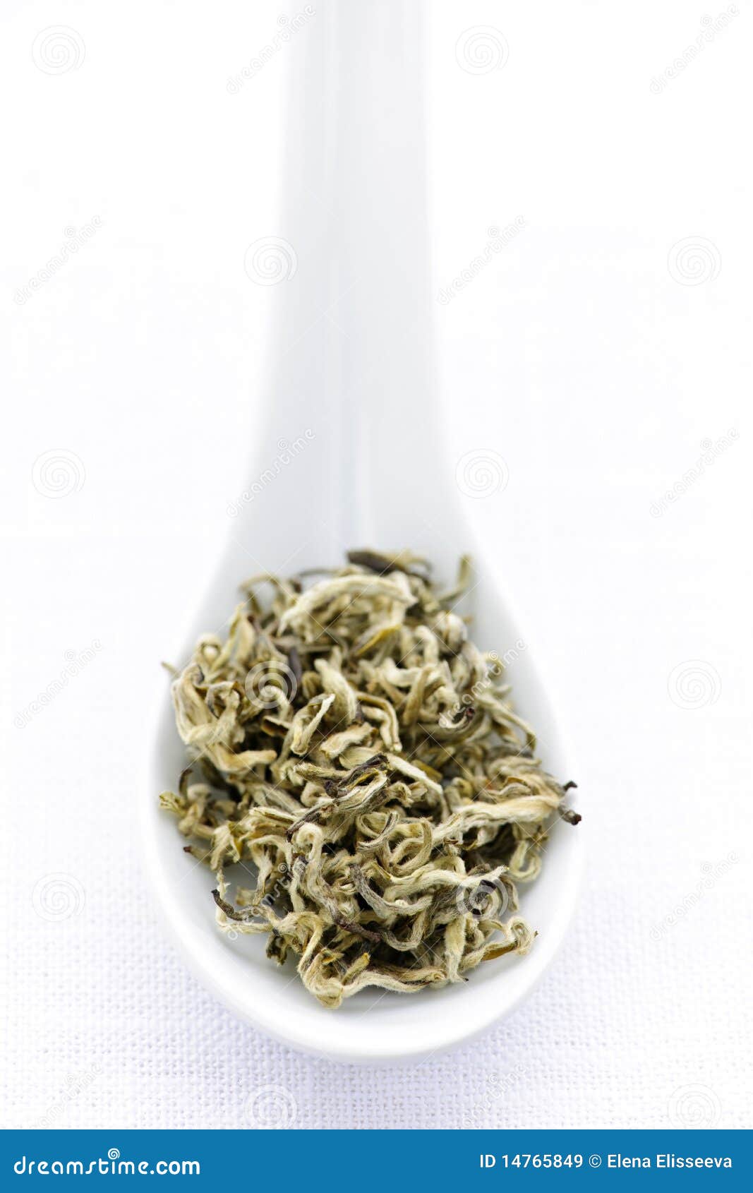 Dry White Tea Leaves in a Spoon Stock Image Image of details