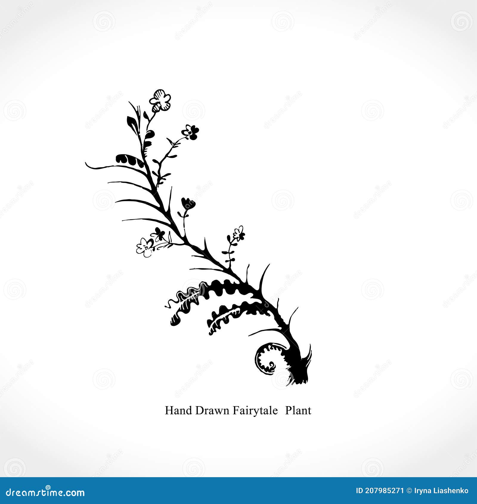 Dry Wild Blade of Grass Tattoo. Black Ink Drawn Sketch. Stock