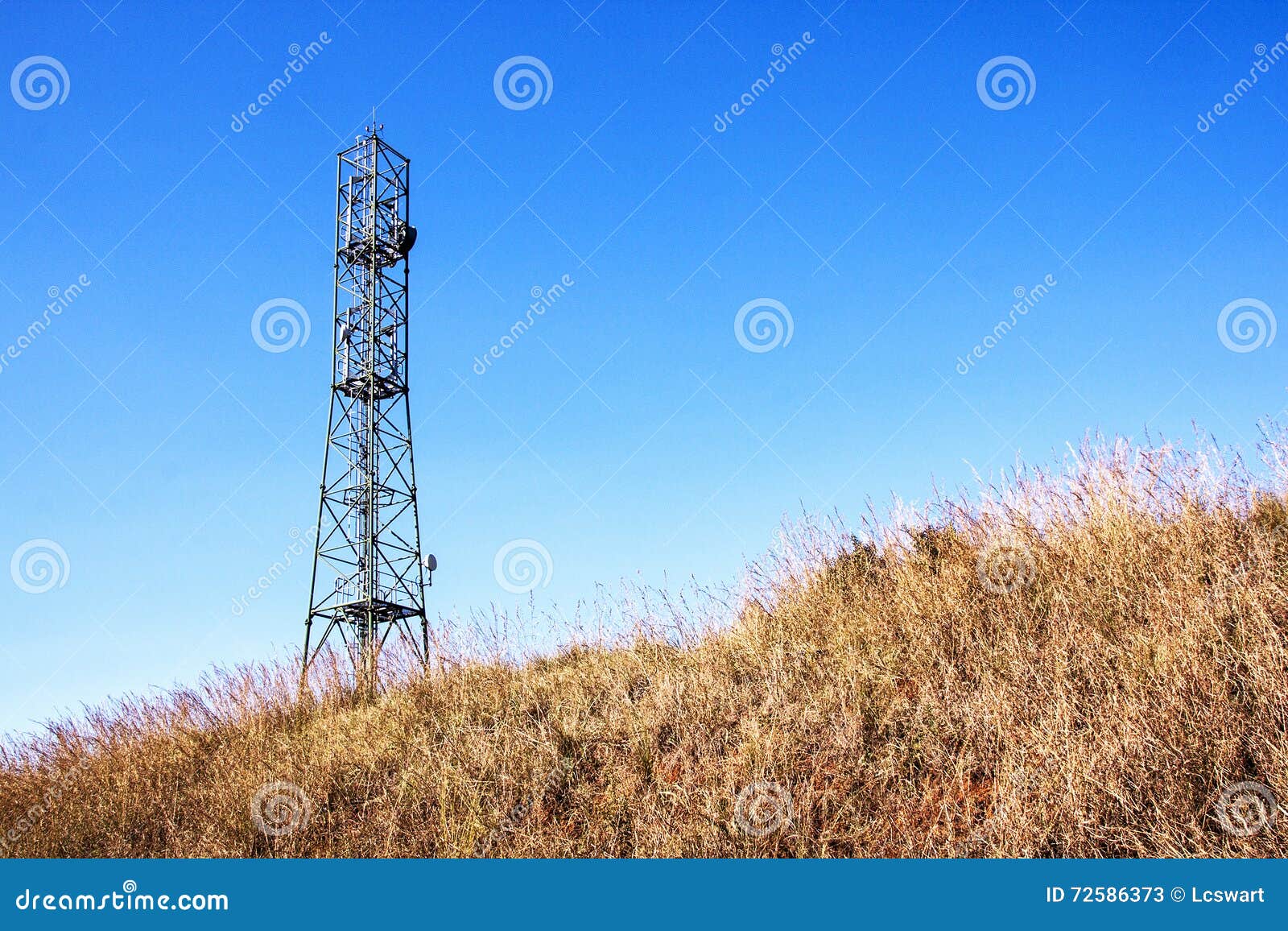 dry winter grass and comunication tower against blue sky
