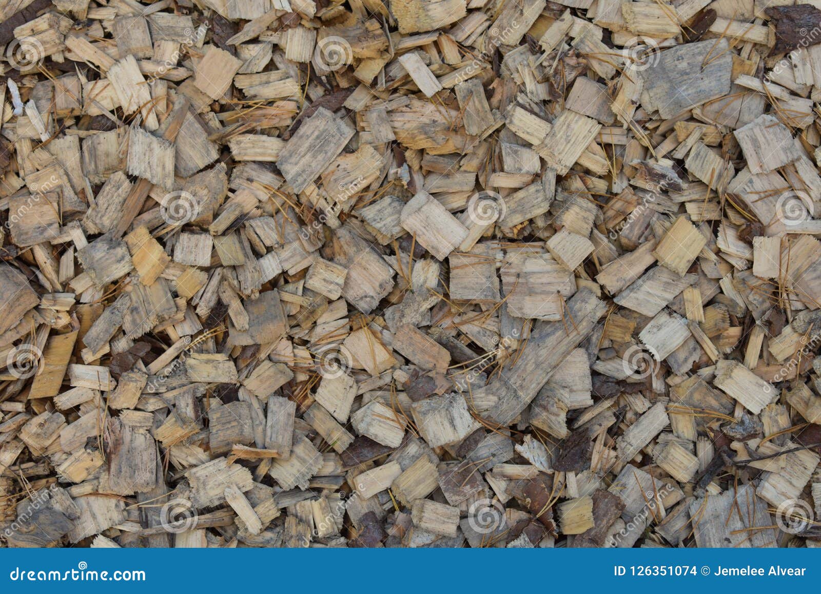 2,381 Chips Pine Photos Free & RoyaltyFree Stock Photos from Dreamstime