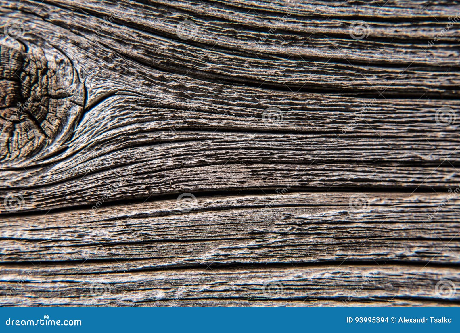 Dry Wooden Knot on the Board Macro Stock Photo Image of structure