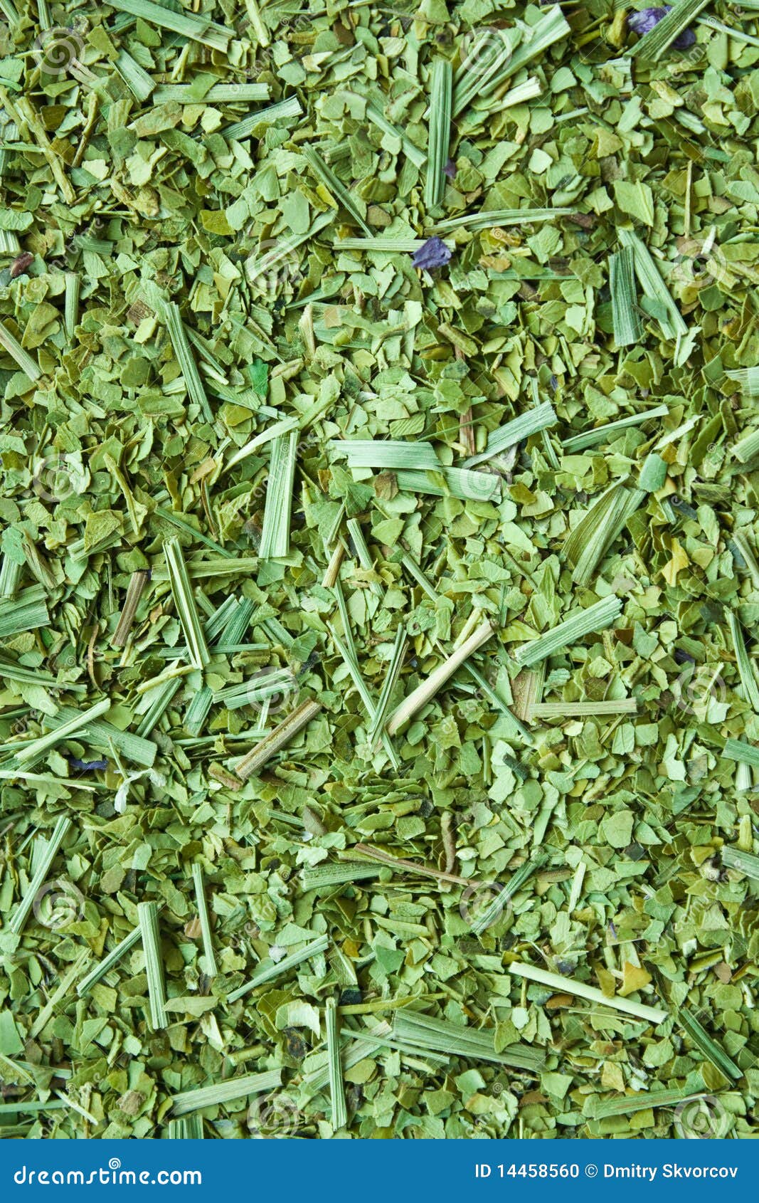 Dry yerba mate leaves stock photo. Image of habit, closeup 14458560