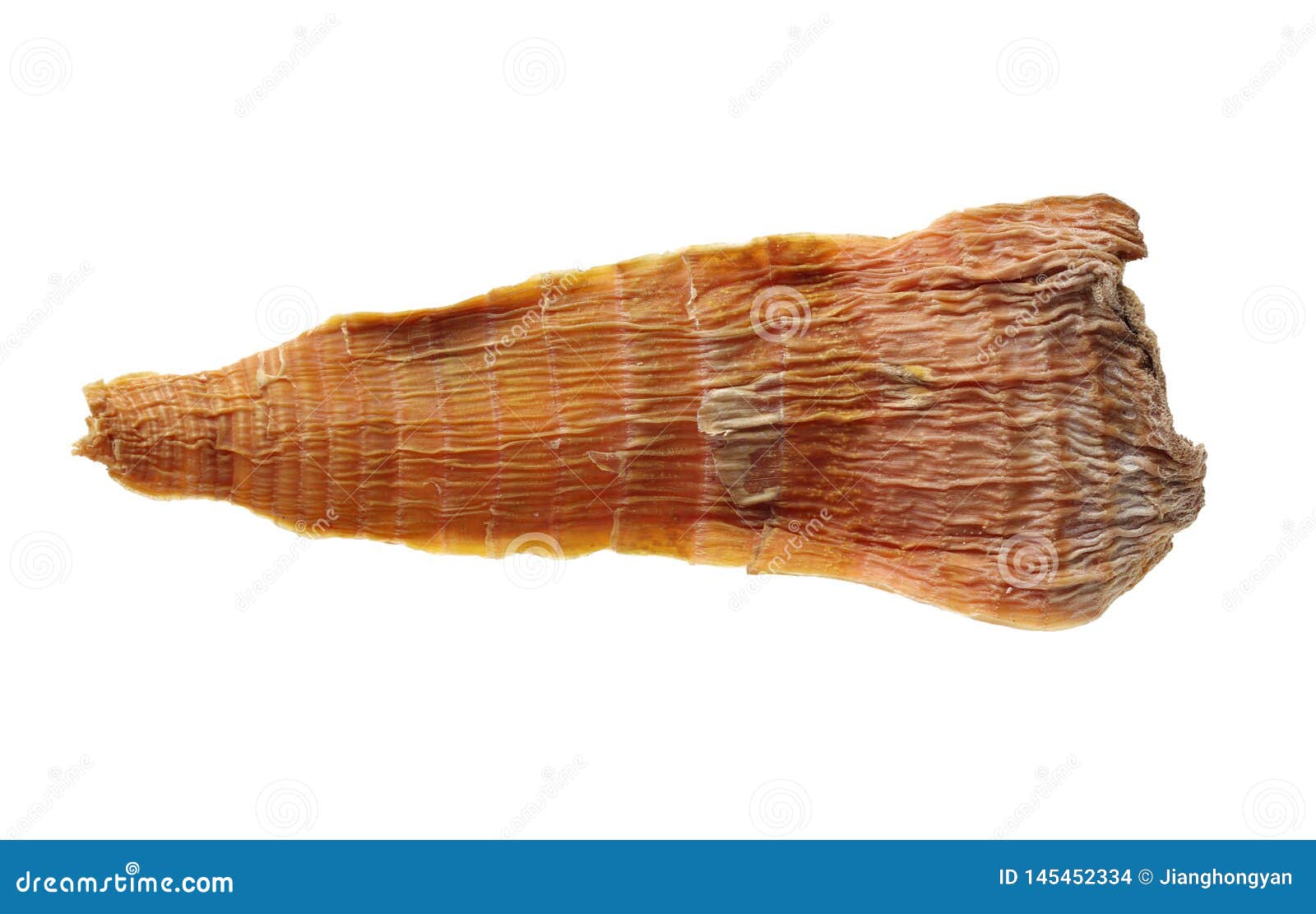 Dry young bamboo shoot stock photo. Image of closeup 145452334