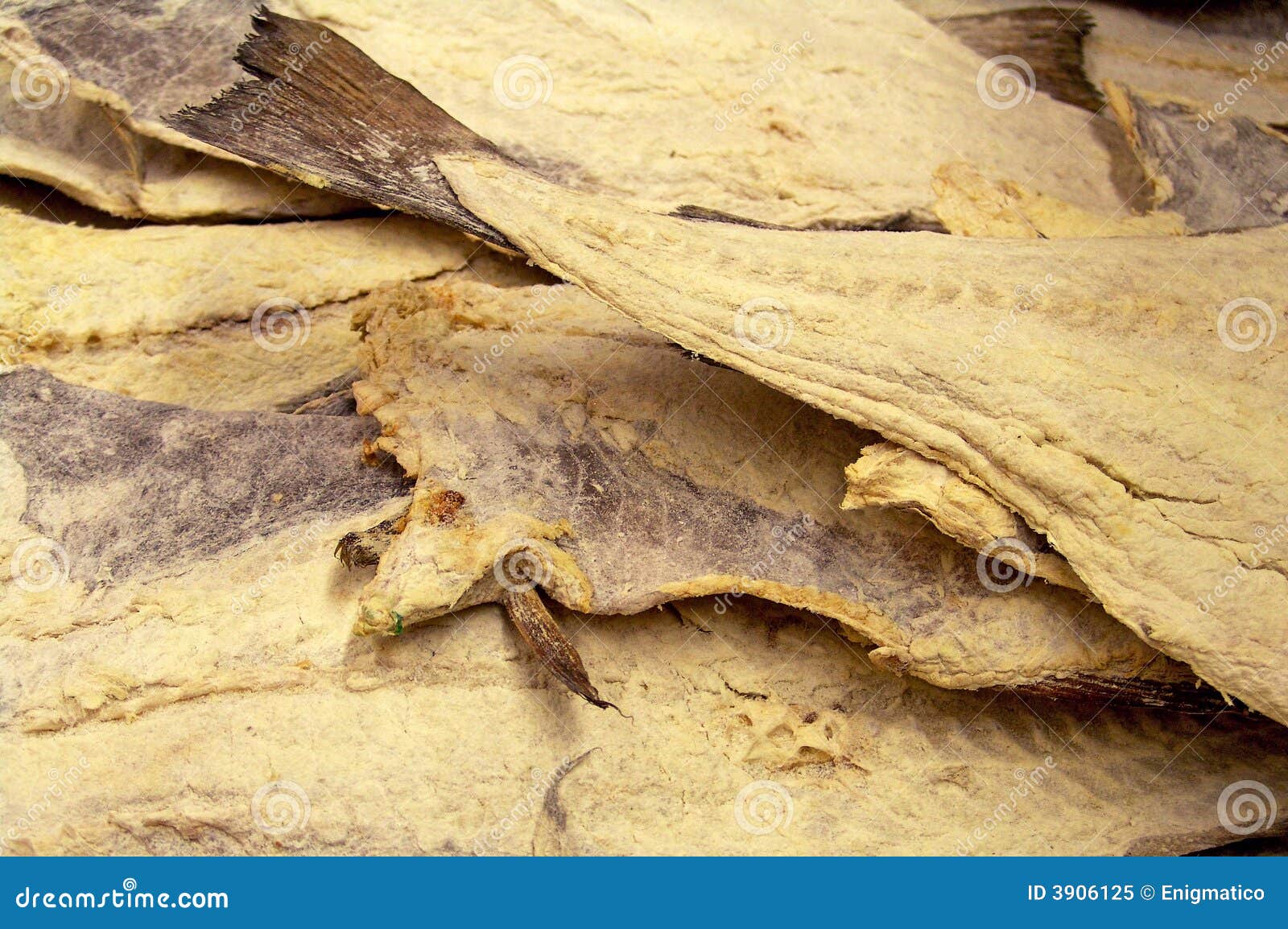 Dryed cod fish stock image. Image of norway, food, dryed 3906125