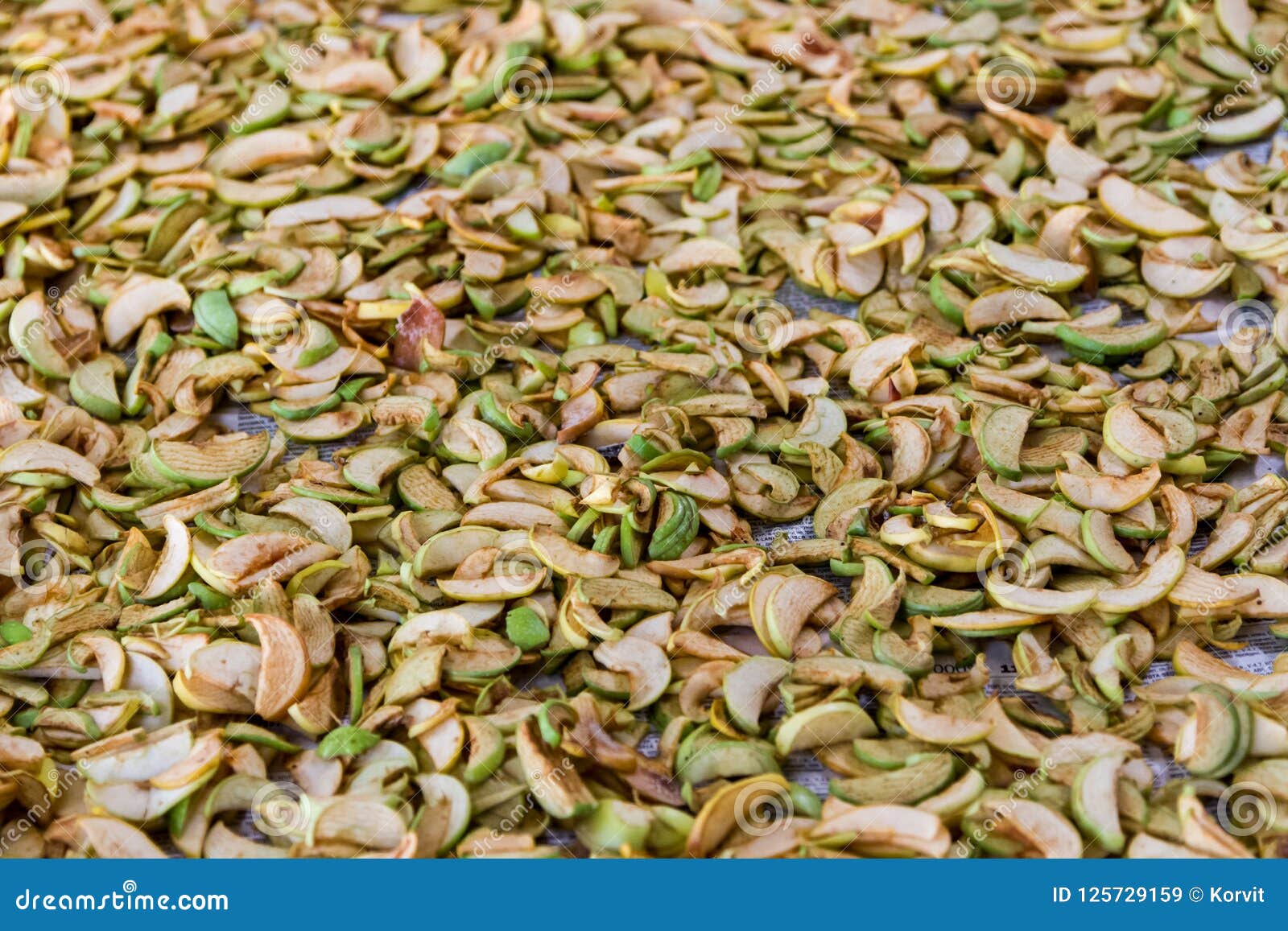 Drying Apples in the Sun for Compote Stock Image Image of diet