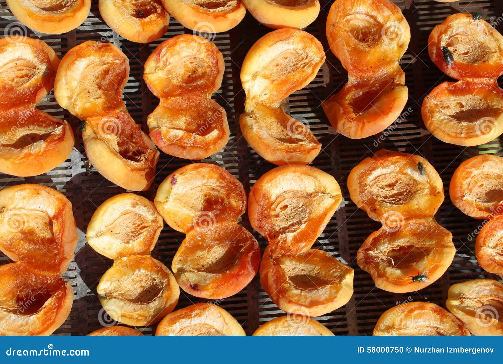 Drying apricots stock photo. Image of vivid, dessert 58000750
