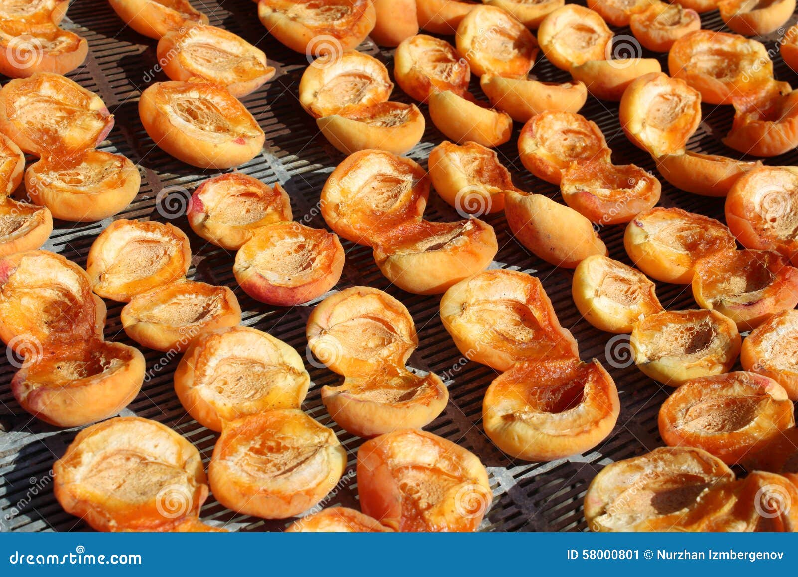 Drying apricots stock image. Image of group, sweet, fruits 58000801