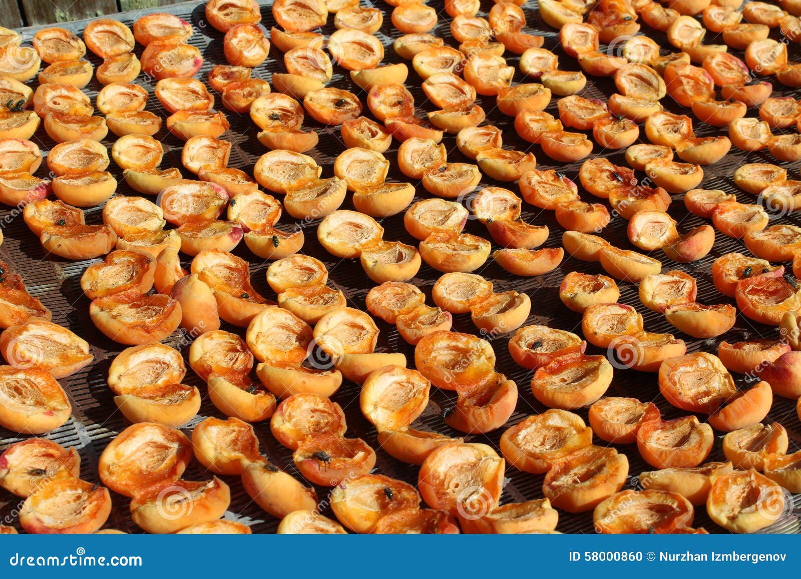Drying apricots stock photo. Image of healthy, apricot 58000860