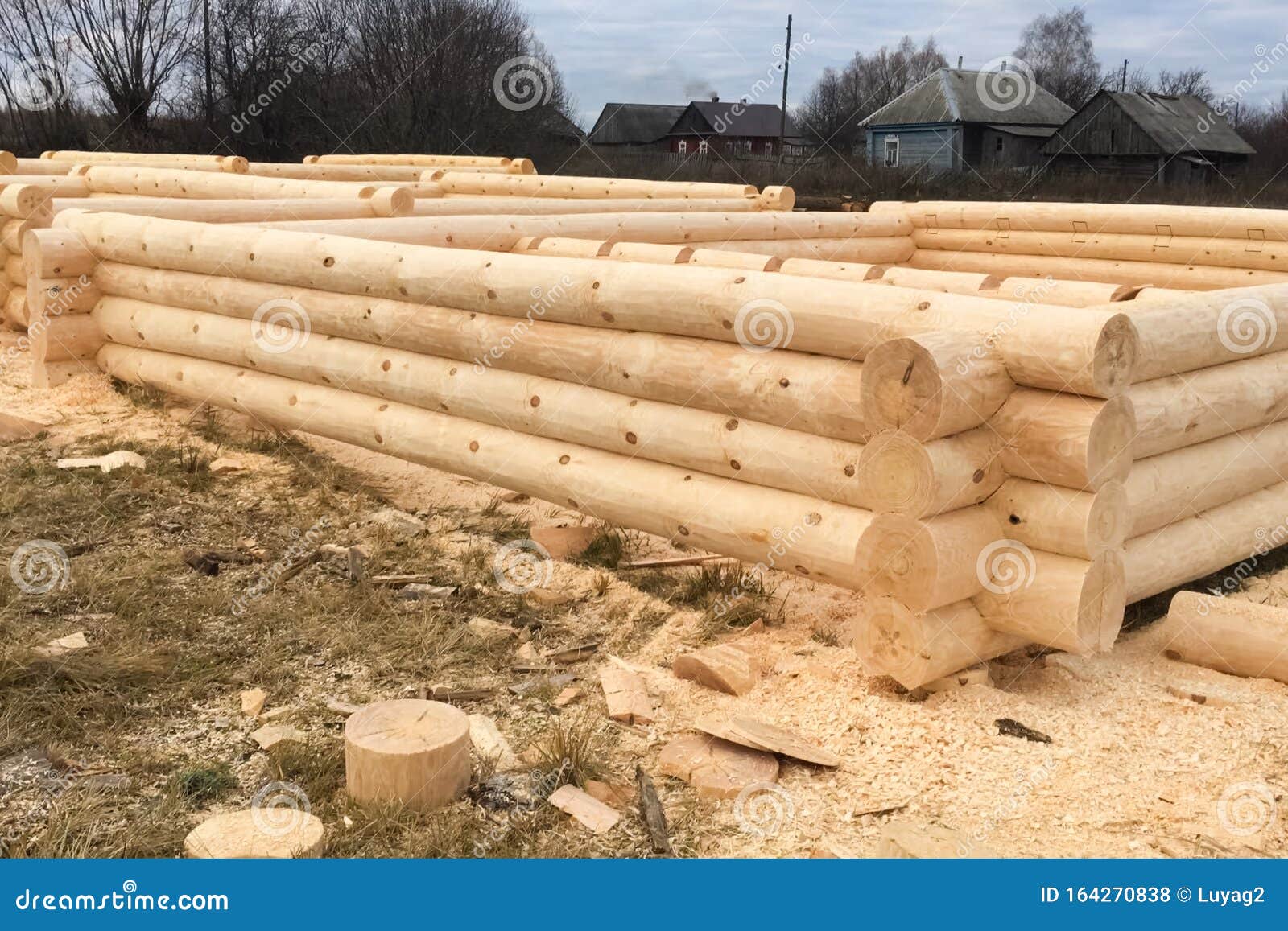 Drying and Assembly of Wooden Log House at a Construction Base Stock