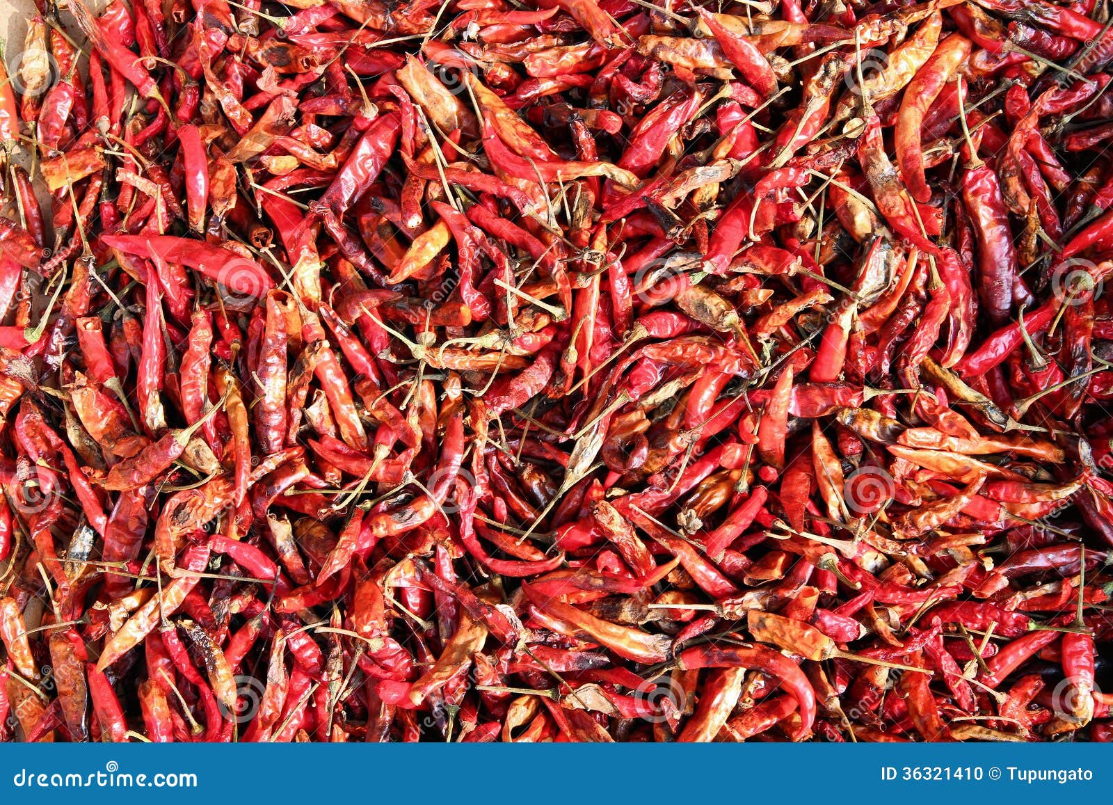 Drying chili peppers stock photo. Image of thailand 