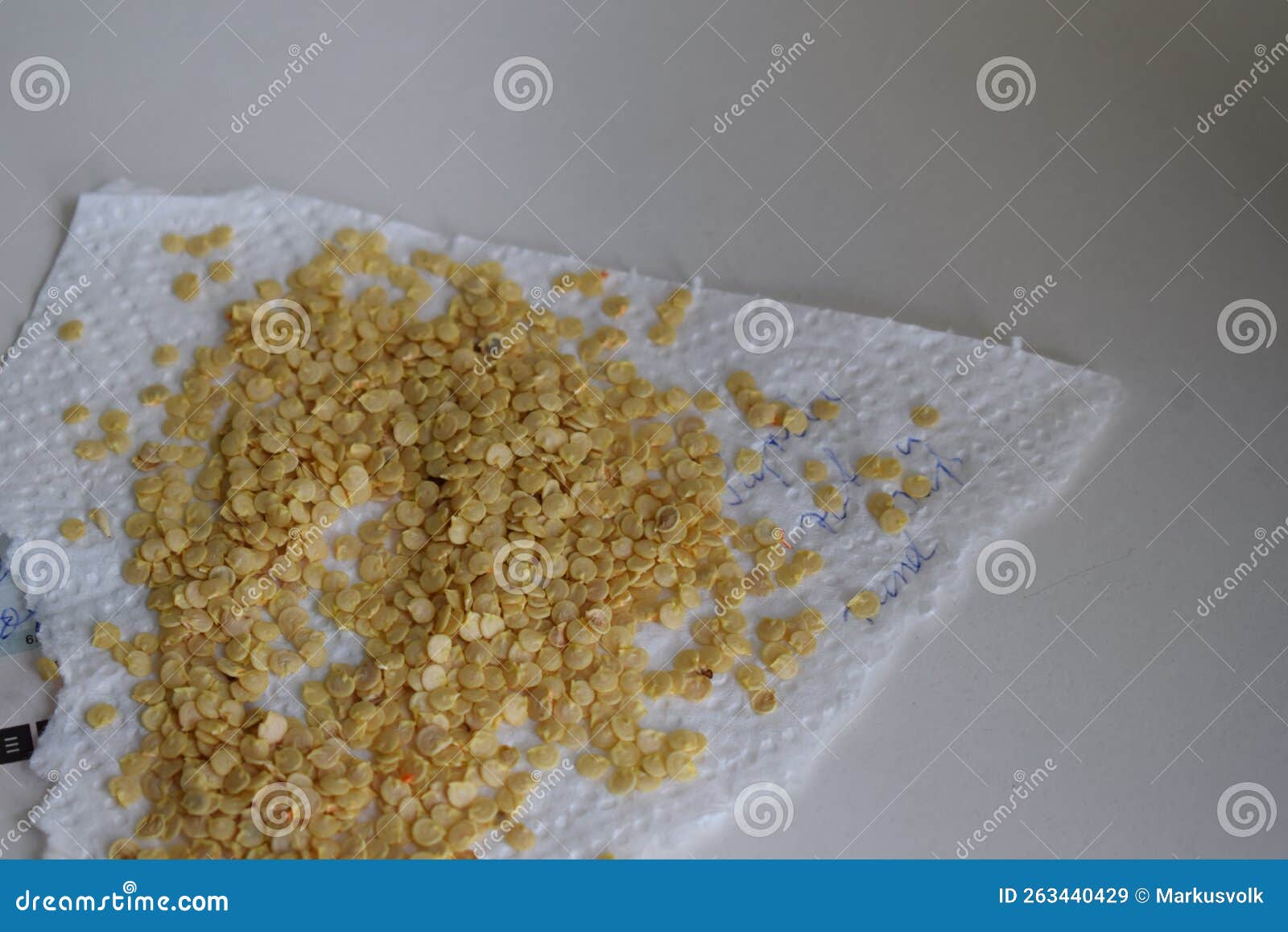 Drying paprika seeds stock image. Image of fruit, breakfast 263440429