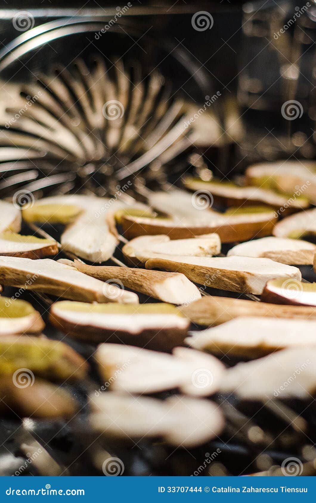 Drying porcini stock photo. Image of mushroom, harvest 33707444