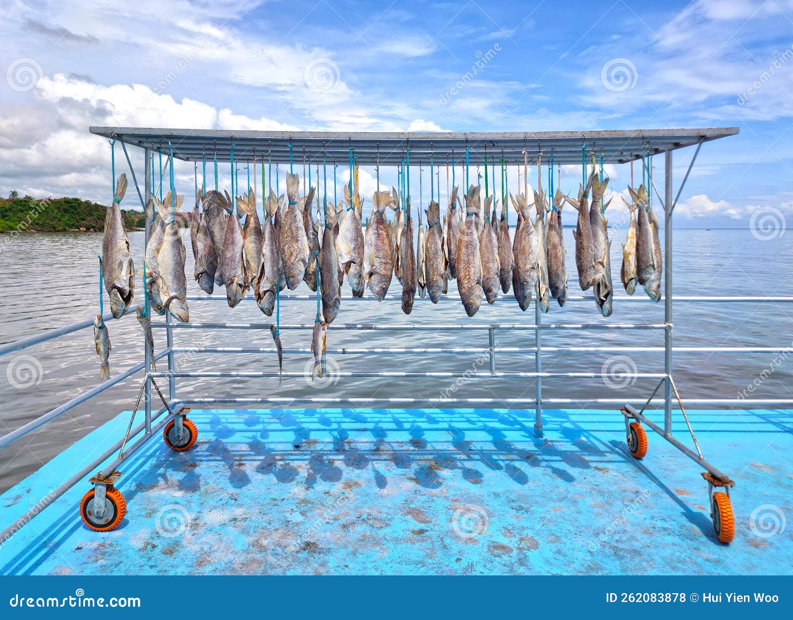 Dry Salted Fish Hanging Below the Rack. Preservation of Food. Sea