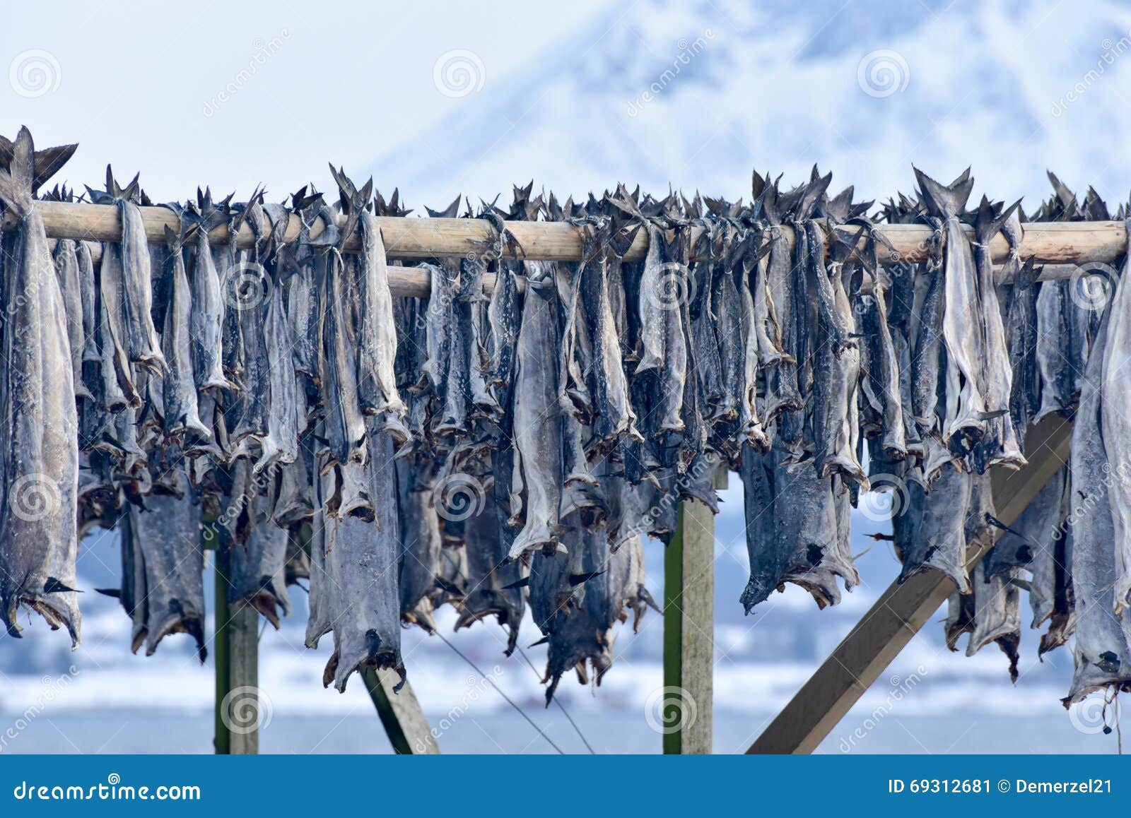 9,811 Stockfish Images, Stock Photos, 3D objects, & Vectors